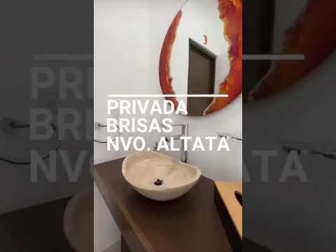 Previsualización del video