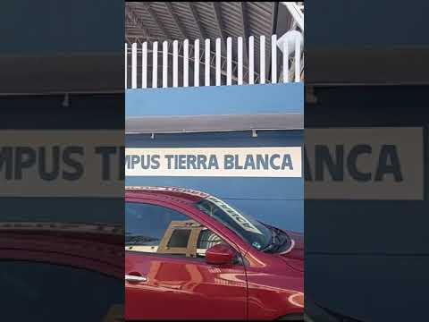 Previsualización del video