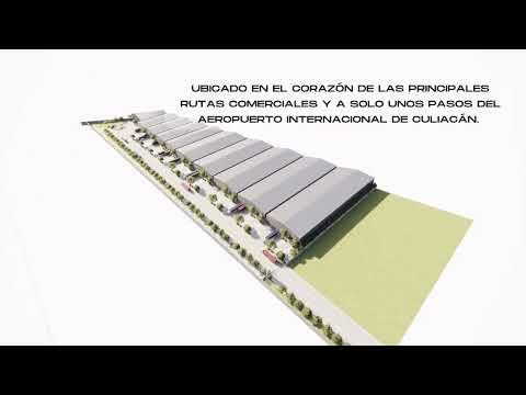 Previsualización de video