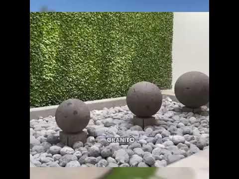 Previsualización del video