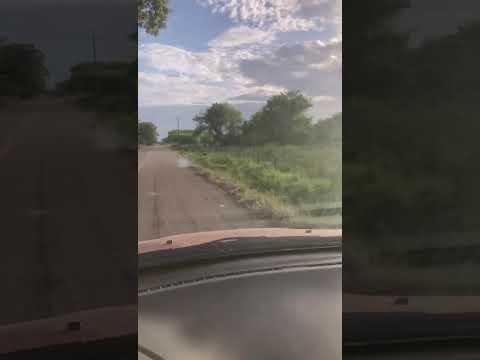 Previsualización de video