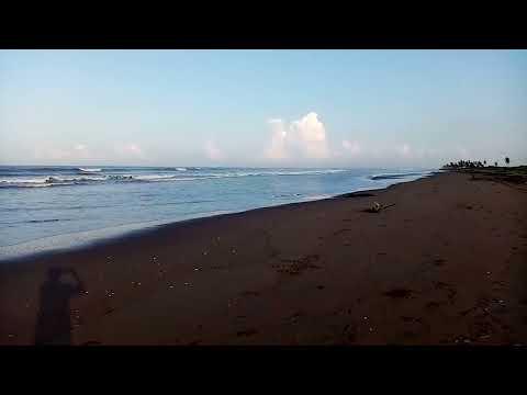 Previsualización del video