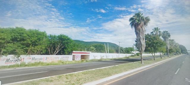 Foto de la galeria de imagenes