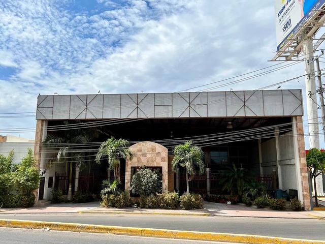 Foto de la galeria de imagenes