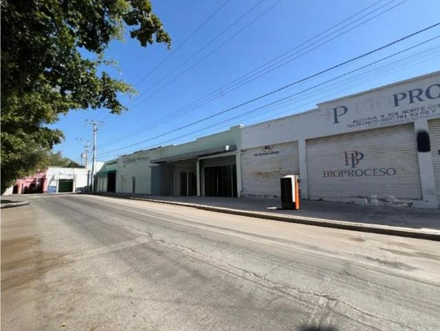 Foto de la galeria de imagenes