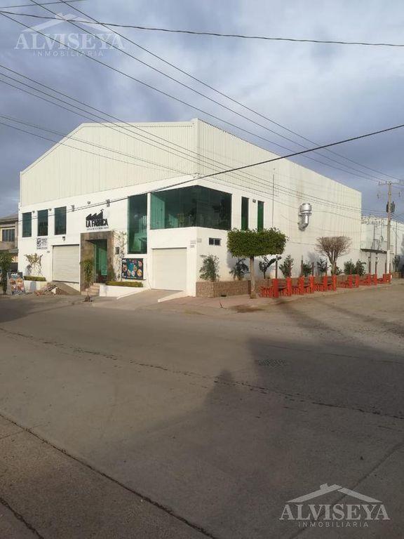 Foto de la galeria de imagenes