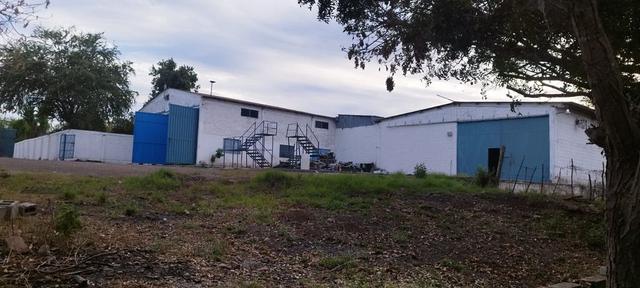 Foto de la galeria de imagenes