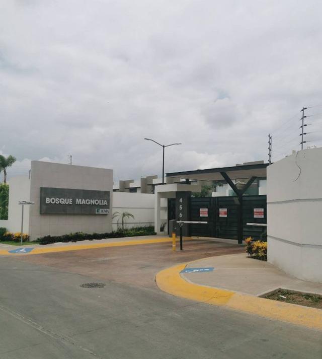 Foto de la galeria de imagenes