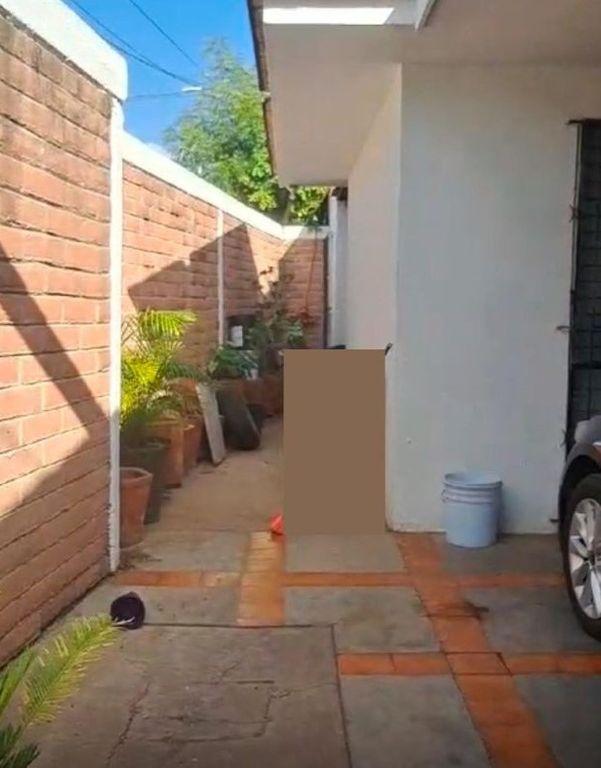Foto de la galeria de imagenes