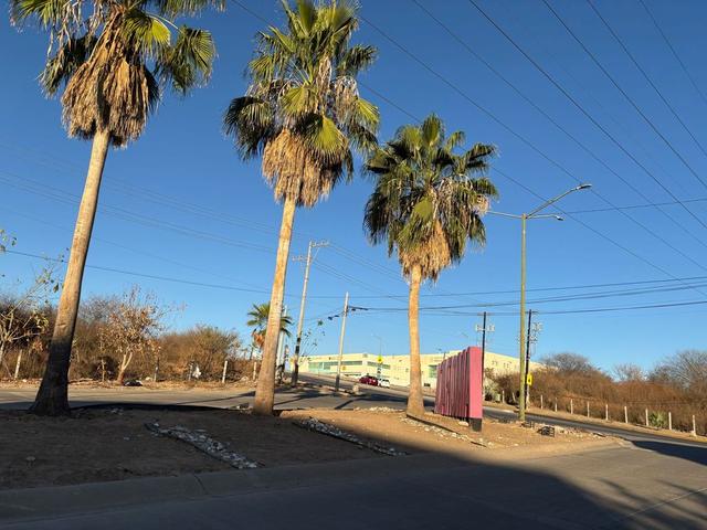 Foto de la galeria de imagenes