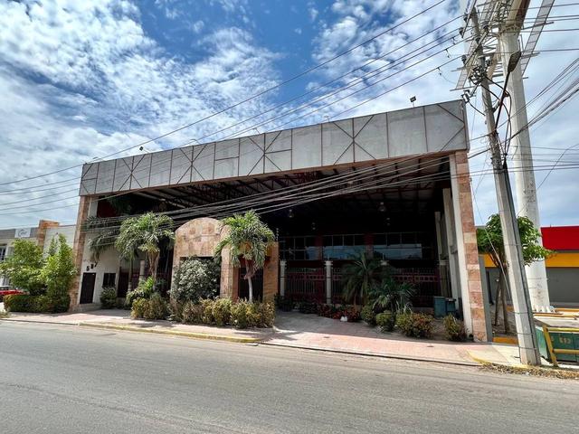 Foto de la galeria de imagenes
