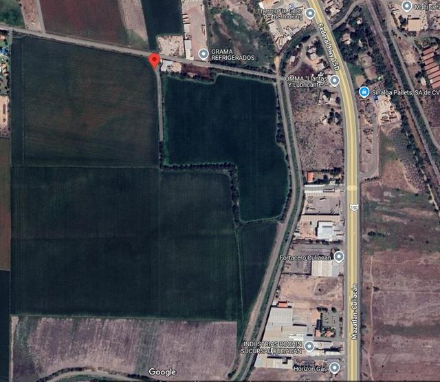 Foto de la galeria de imagenes