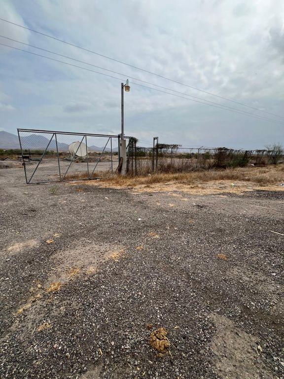 Foto de la galeria de imagenes
