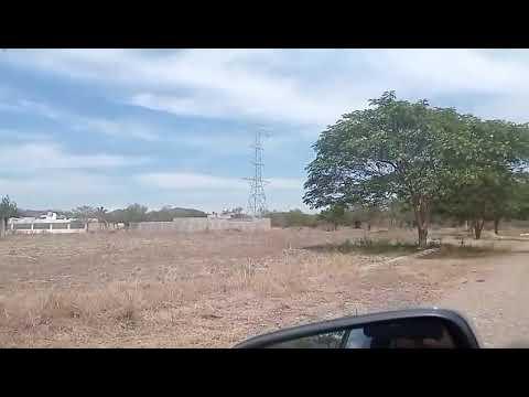 Previsualización de video