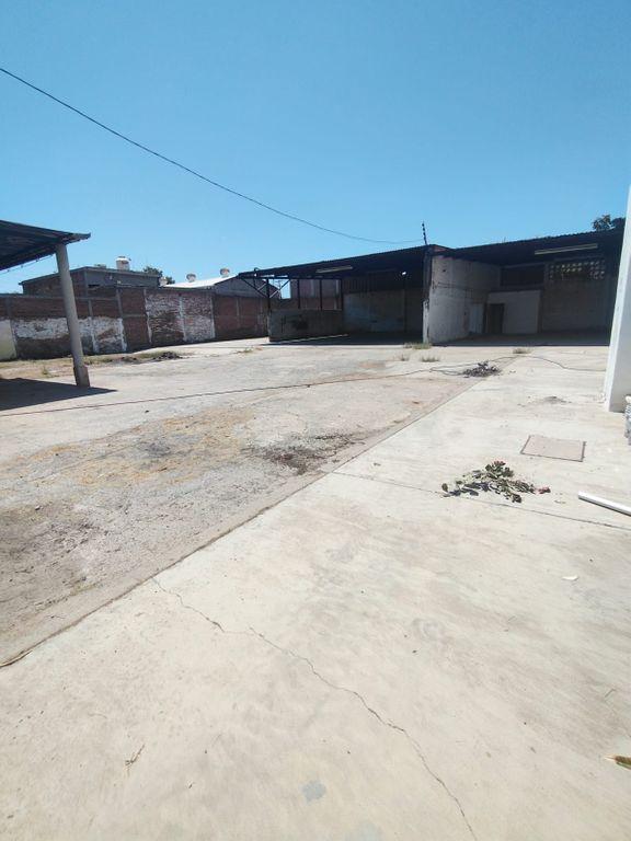 Foto de la galeria de imagenes