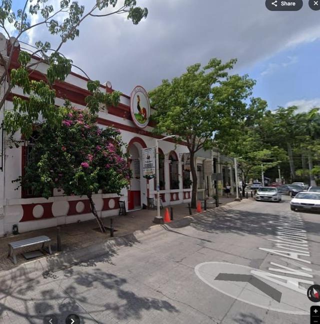 Foto de la galeria de imagenes